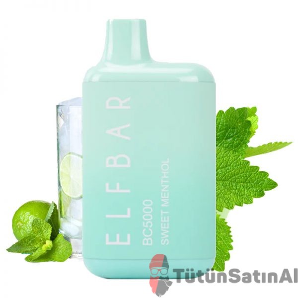 elfbar bc5000 sweet menthol