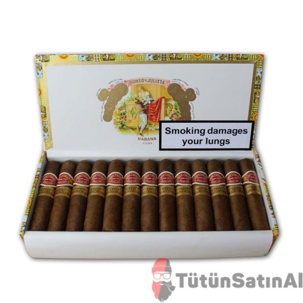 RyJ PetitChurchills box25 tutunsatinal