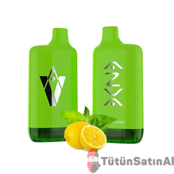 azva puff 8000 lemon mint tutunsatinal