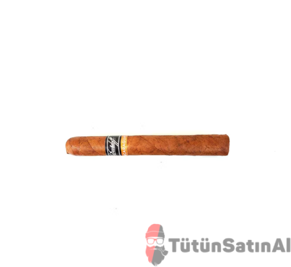 davidoff tekli tutunsatinal