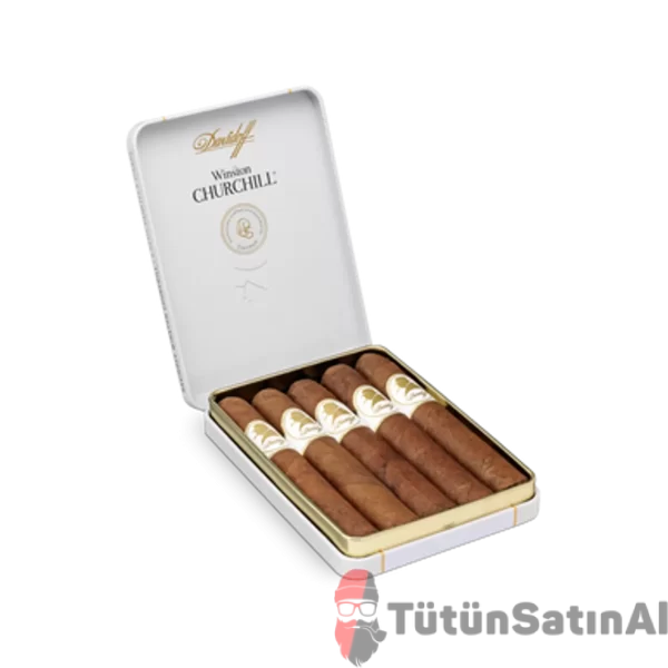 davidoff winston churcill tutunsatinal