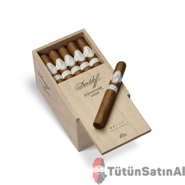 Davidoff Signature 2000 Cigar EGM Cigars